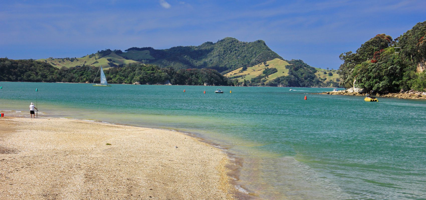 Whitianga - photo copyright Dreamland Design